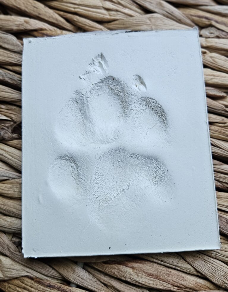 Clay-Paw-Print-Aftercare-Euthanasia